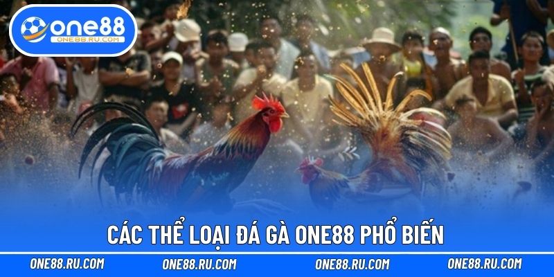 Các thể loại đá gà ONE88 phổ biến