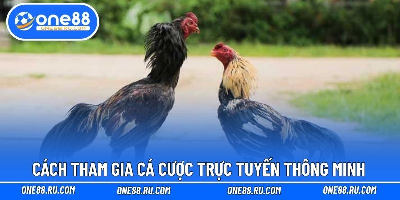 Cách tham gia cá cược trực tuyến thông minh
