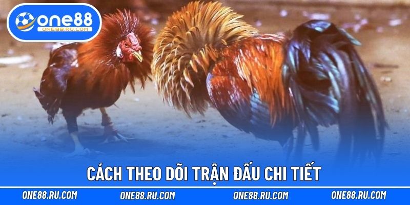 Cách theo dõi trận đấu chi tiết