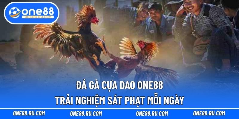 Đá gà cựa dao ONE88