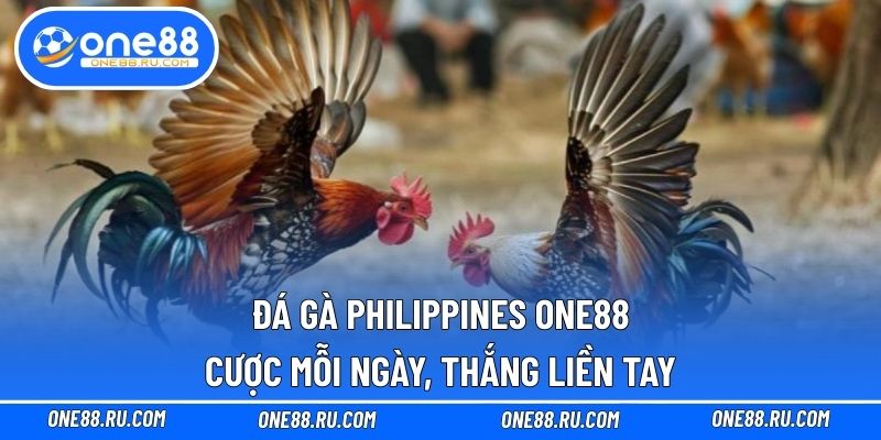 Đá gà Philippines ONE88