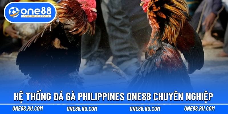 Hệ thống đá gà Philippines ONE88 chuyên nghiệp