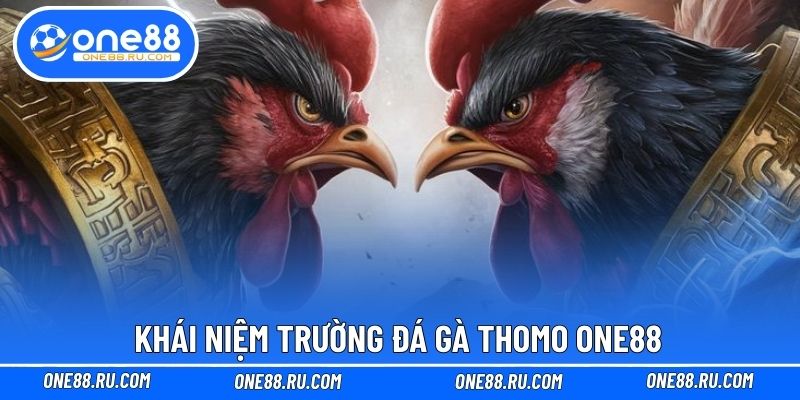Khái niệm trường đá gà Thomo ONE88
