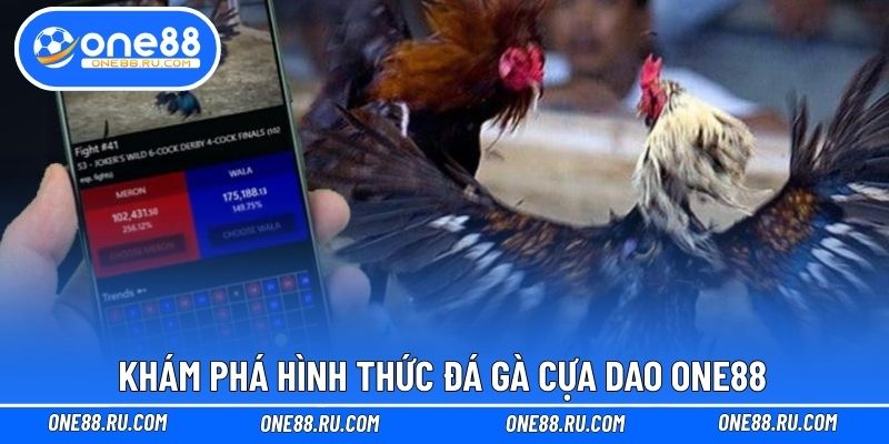Khám phá hình thức đá gà cựa dao ONE88