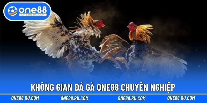 Không gian đá gà ONE88 chuyên nghiệp