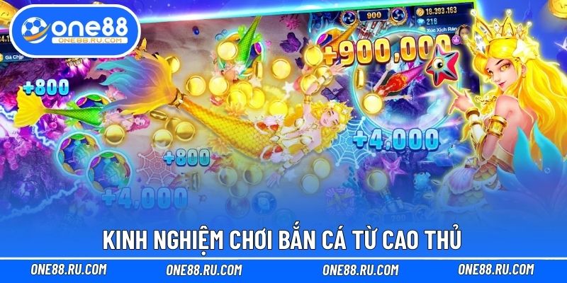 Kinh nghiệm chơi bắn cá từ cao thủ