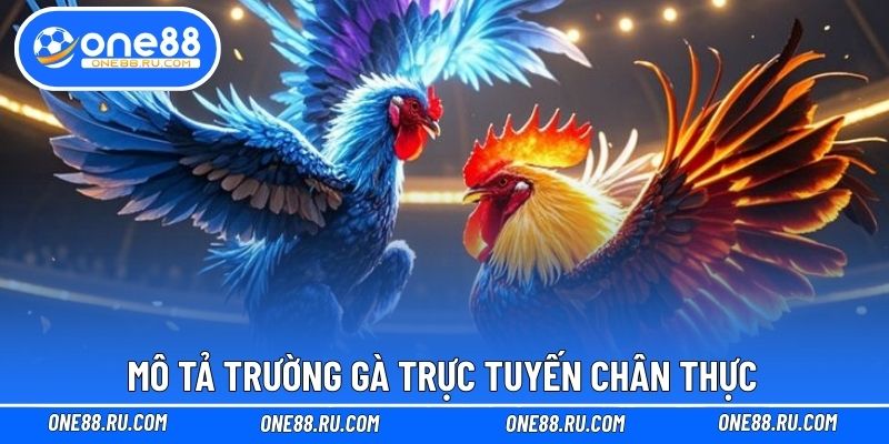 Mô tả trường gà trực tuyến chân thực