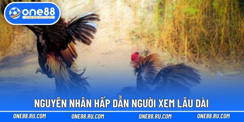 Nguyên nhân hấp dẫn người xem lâu dài