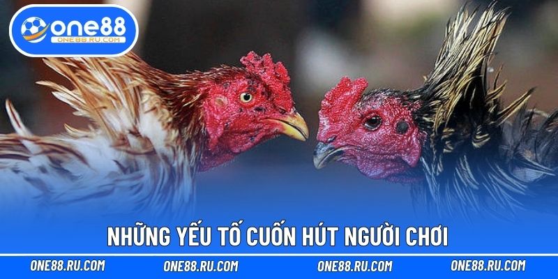 Những yếu tố cuốn hút người chơi