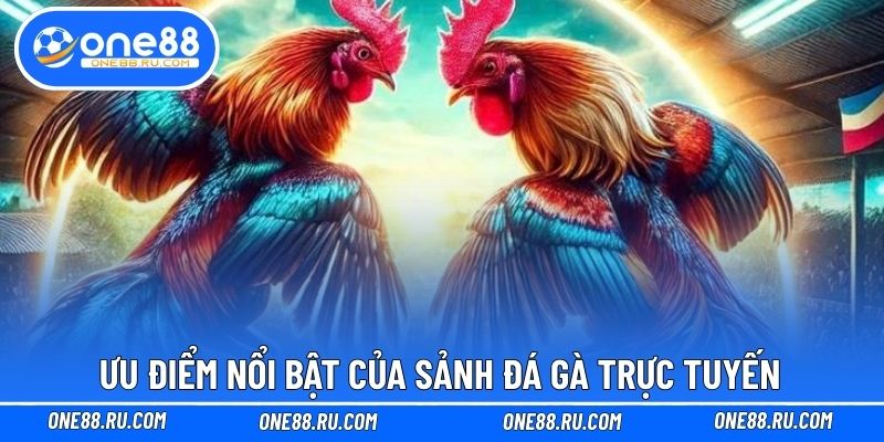Ưu điểm nổi bật của sảnh đá gà trực tuyến